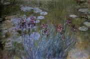 Claude Monet Irises and Water Lillies Spain oil painting artist